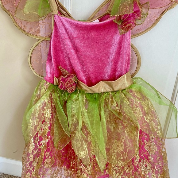 Fairy Dust Fairy Costume 5t 